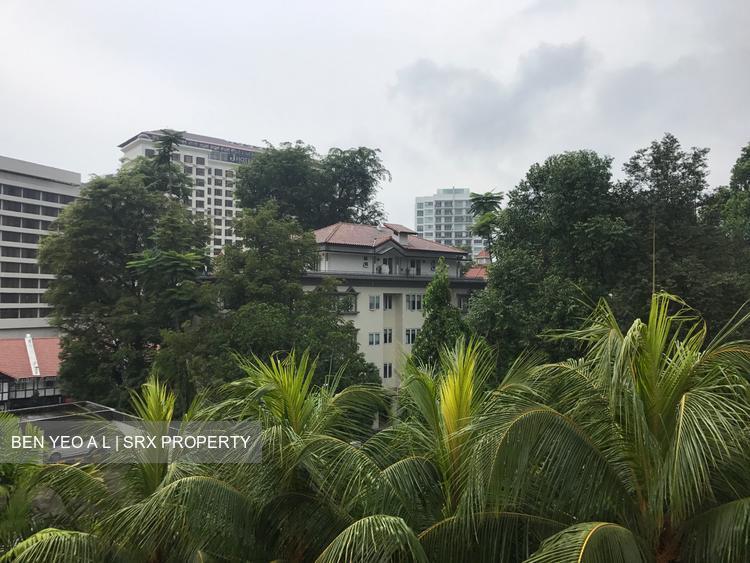 St. Martin Residence (D10), Condominium #154038162